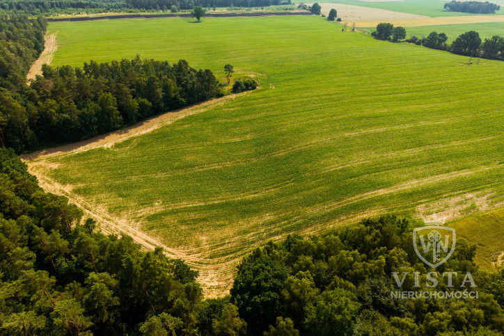 Działka Sprzedaż Prusinowo 16