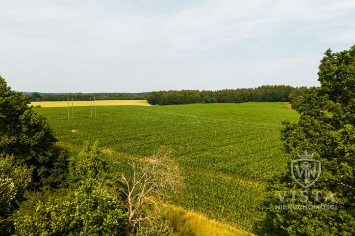 Działka Sprzedaż Prusinowo 15