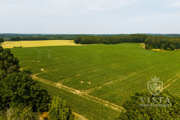 Działka Sprzedaż Prusinowo 18